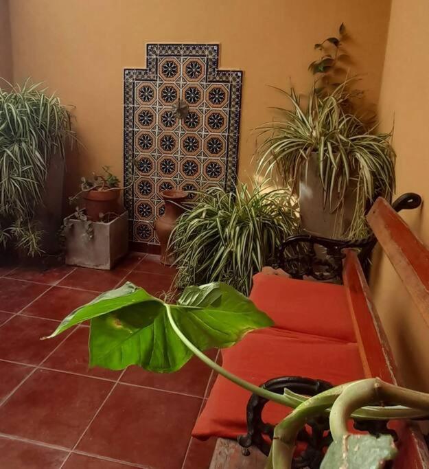 ¨Las Mayolicas¨ Hermoso Depto Con Patio Espanol Mendoza Dış mekan fotoğraf